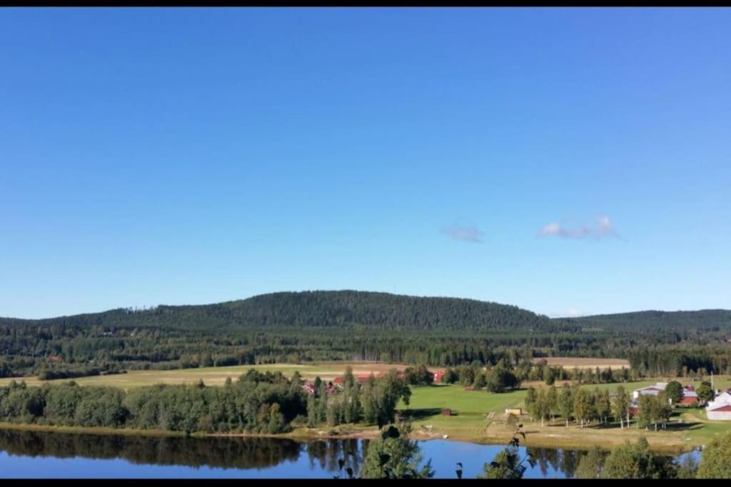 Little Forest House "Our Little Farm" Ekshärad 外观 照片