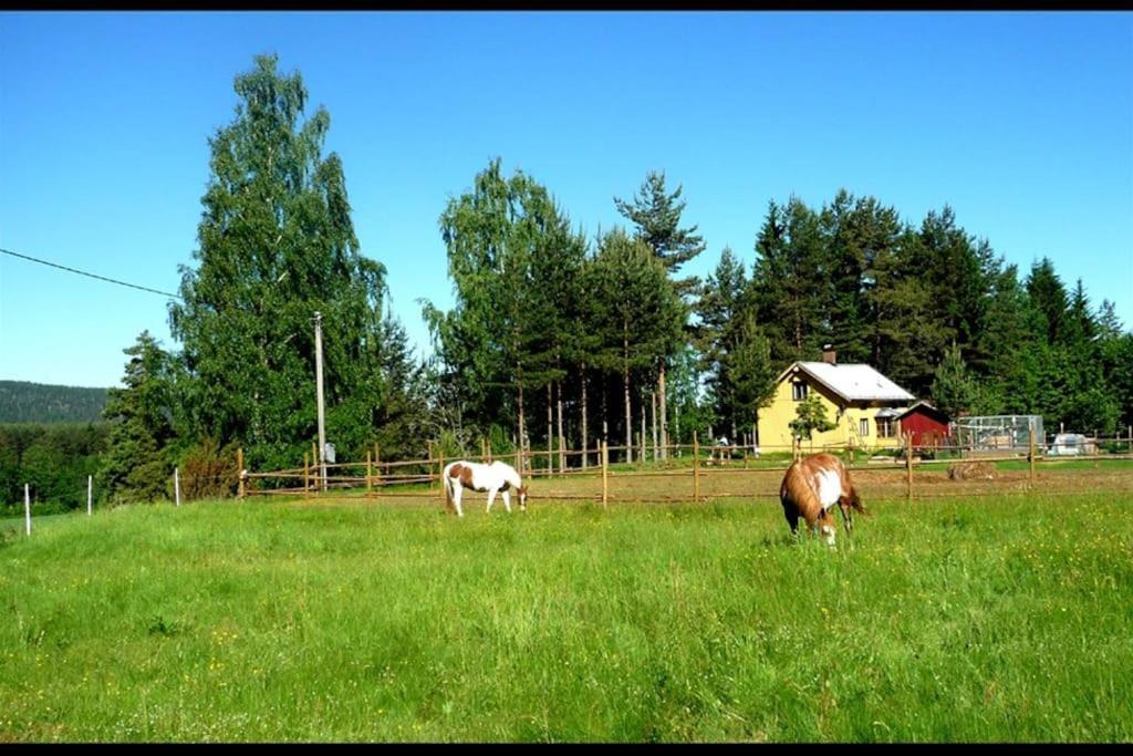Little Forest House "Our Little Farm" Ekshärad 外观 照片