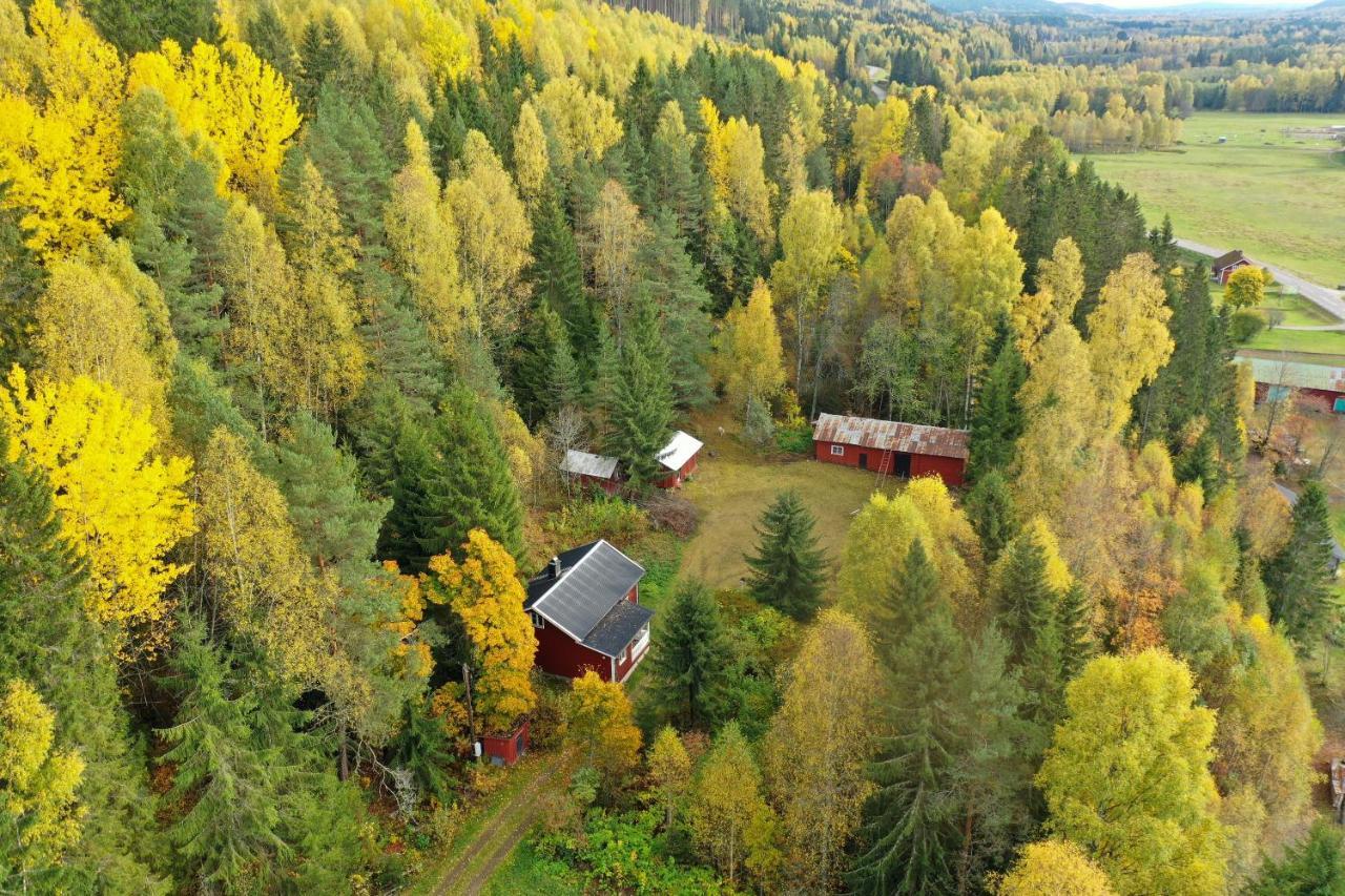 Little Forest House "Our Little Farm" Ekshärad 外观 照片