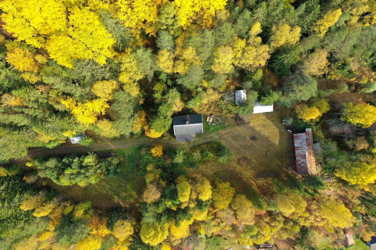 Little Forest House "Our Little Farm" Ekshärad 外观 照片