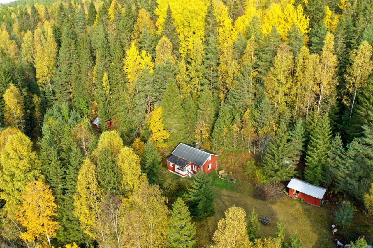 Little Forest House "Our Little Farm" Ekshärad 外观 照片